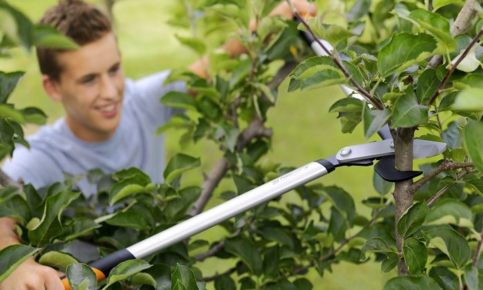 3x VĚTŠÍ SÍLA S MENŠÍ NÁMAHOU: NOVÉ NŮŽKY FISKARS POWERGEAR™
