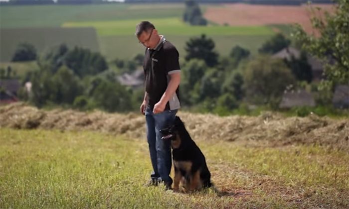 Psí školička – Videonávod č. 17 – Venčení