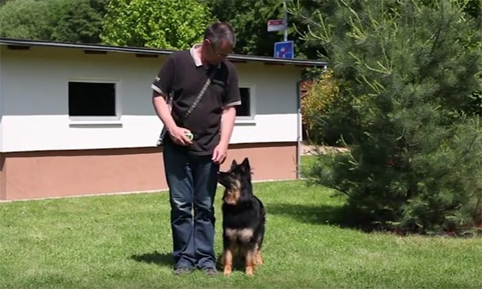 Psí školička – Videonávod č. 19 – Sám na zahradě