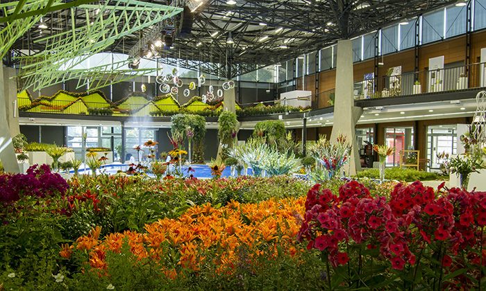 Letní Flora Olomouc láká na mečíky, růže a Malajsii