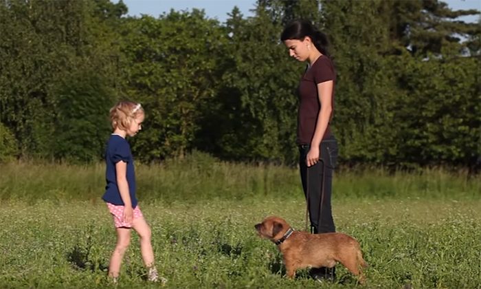 Psí školička – Videonávod č. 20 – Zvykání si na děti