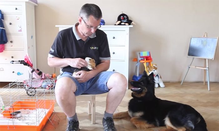 Psí školička – Videonávod č. 21 – Zvykání na malé zvíře