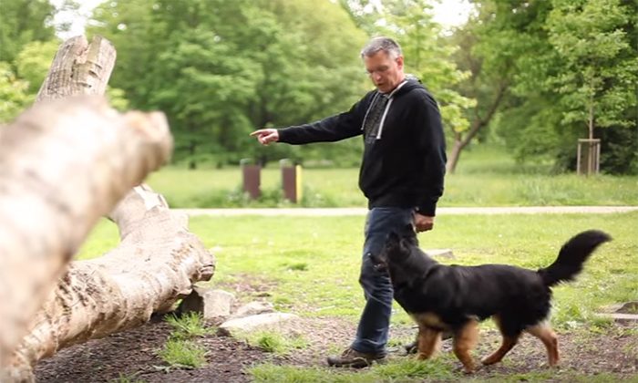 Psí školička – Videonávod č. 22 – Překonání překážky