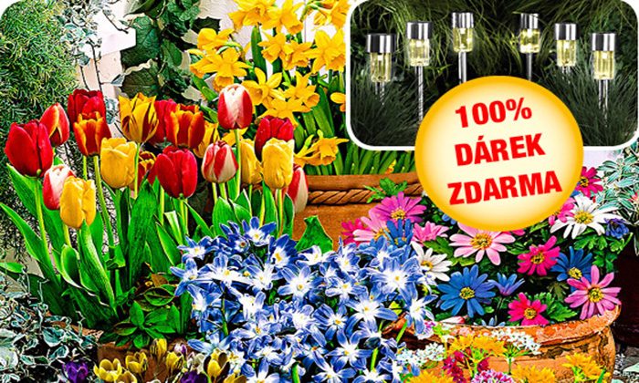 100 jarních cibulovin za zvýhodněnou podzimní cenu!