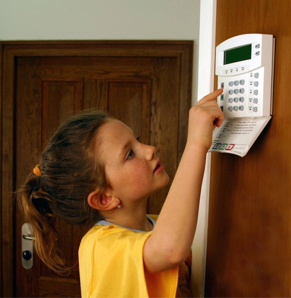 elektronické zabezpečení