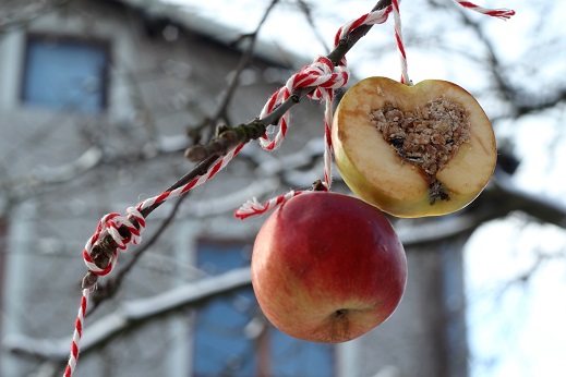 dva v jednom - jablicko