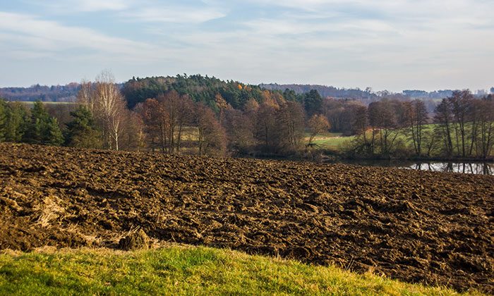 UŽITKOVÁ ZAHRADA: CO JEŠTĚ MŮŽEME UDĚLAT