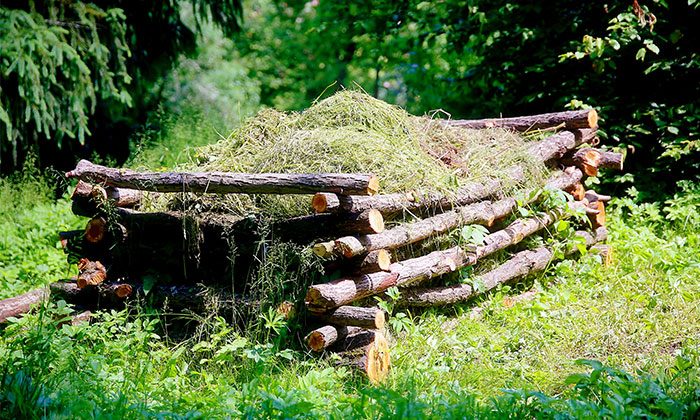 Kompost: Jak si vytvořit kvalitní hnojivo (2. díl)